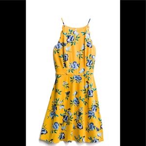 Fortune and ivy dress